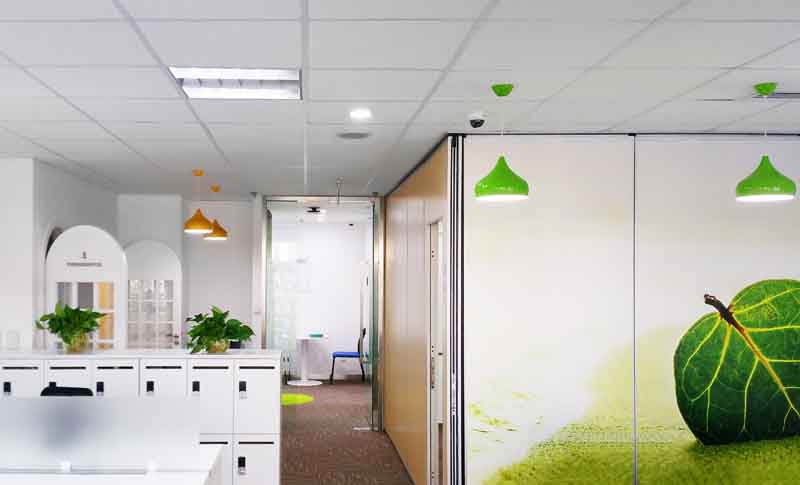 办公室室内甲醛净化需要的植物